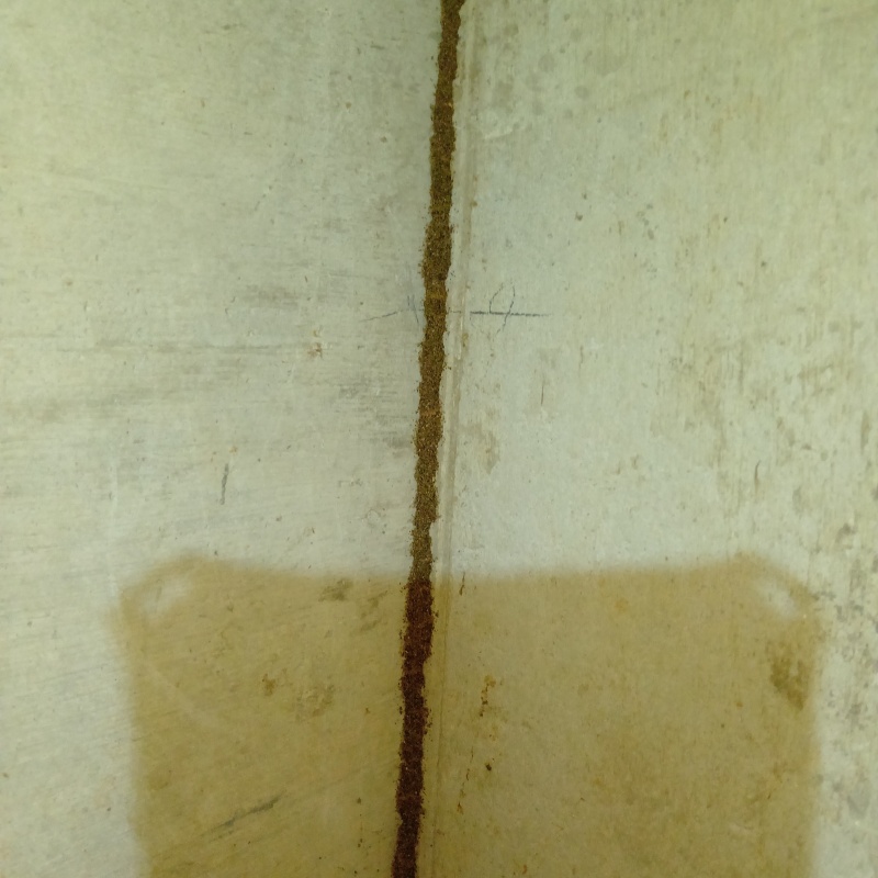 床下に蟻道