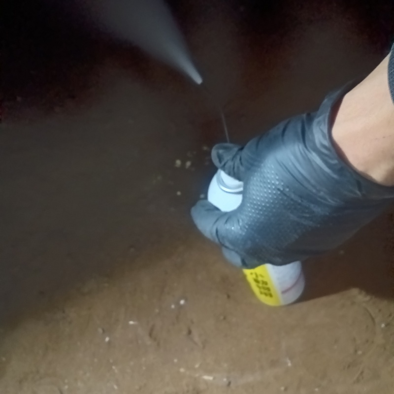 床下に忌避剤をスプレー