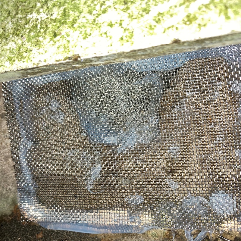 床下換気口をネットとパテで封鎖