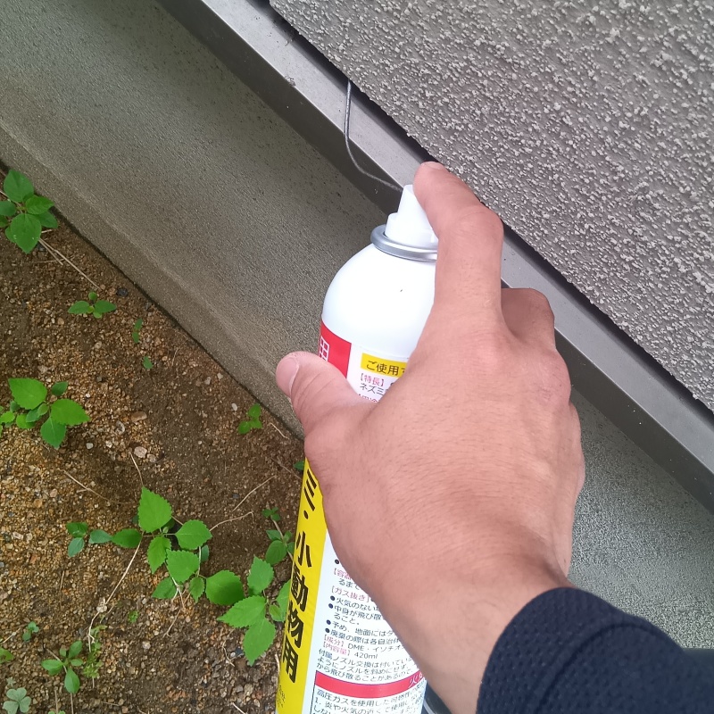 コウモリ駆除の施工事例（石川県金沢市今町ヨ）