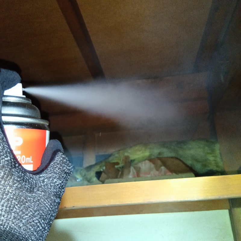 天井裏に殺虫剤を散布