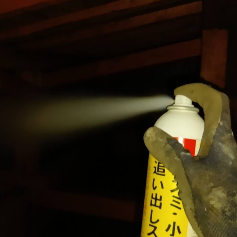 コウモリ駆除の施工事例（岐阜県高山市上岡本町）