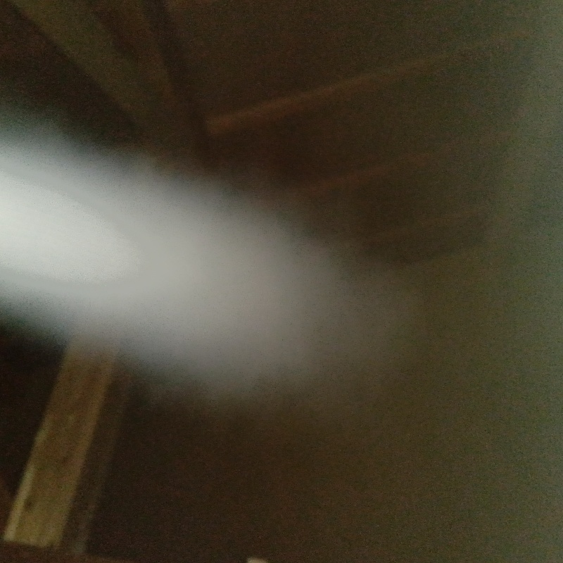 噴霧器で忌避剤を散布