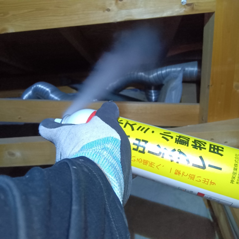 天井裏に忌避剤をスプレー