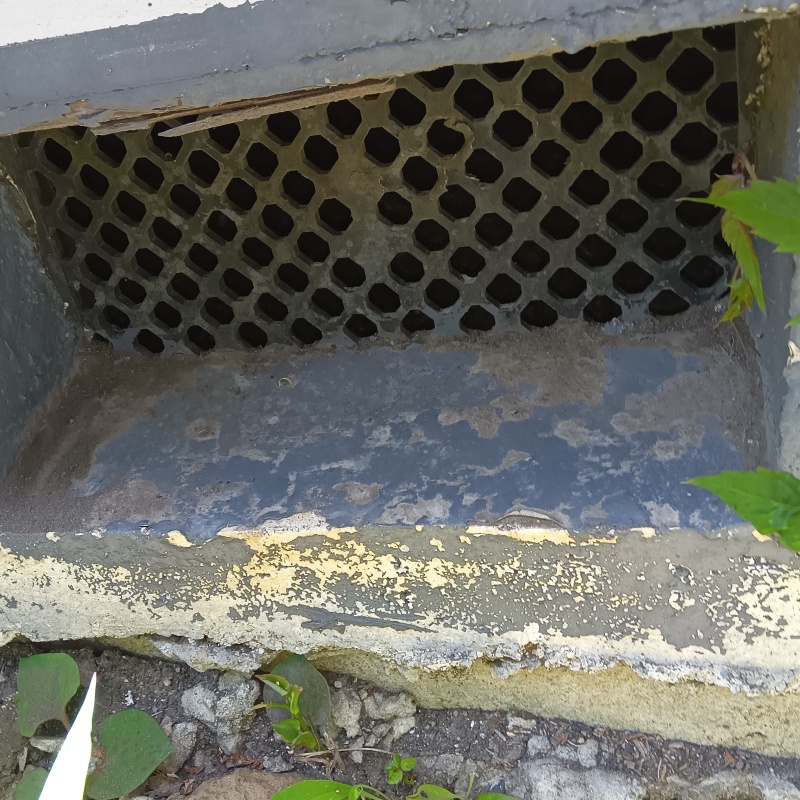 侵入口となっている床下換気口