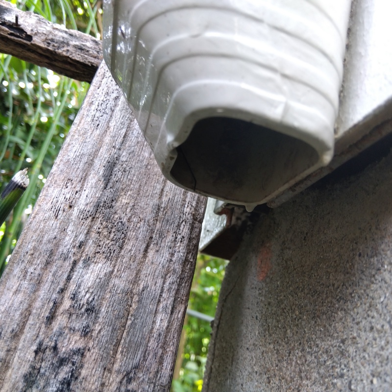 侵入口になっていたすき間