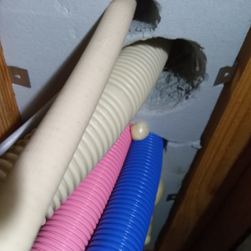 ネズミ駆除の施工事例（新潟県新潟市中央区上近江）