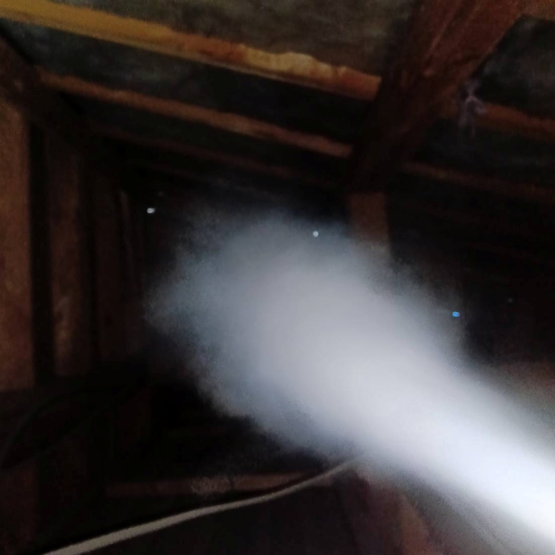 忌避剤をスプレー