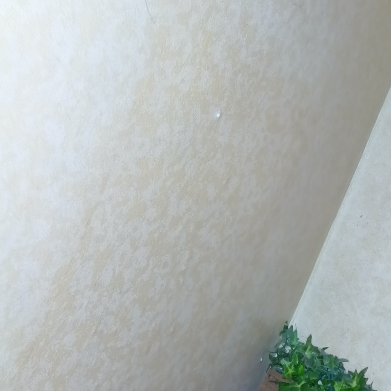 防蟻剤を注入する前の室内壁