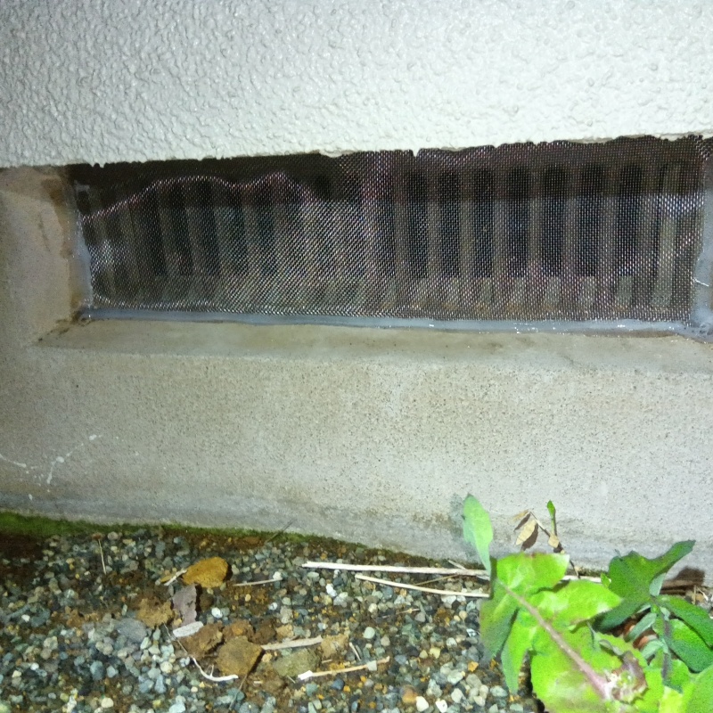 床下換気口をネットとパテで封鎖