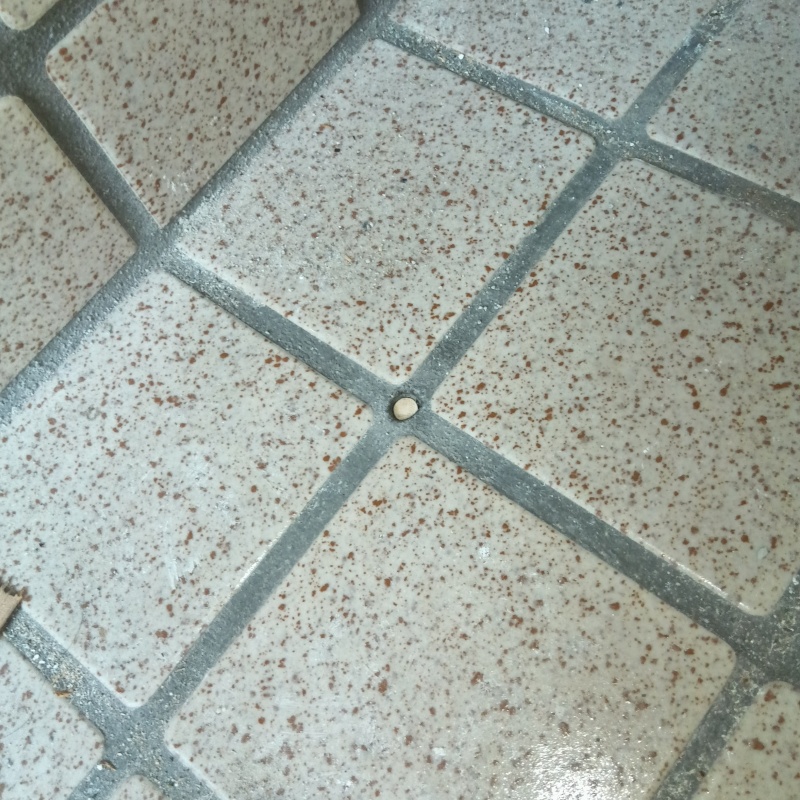 開けた穴を修復した様子
