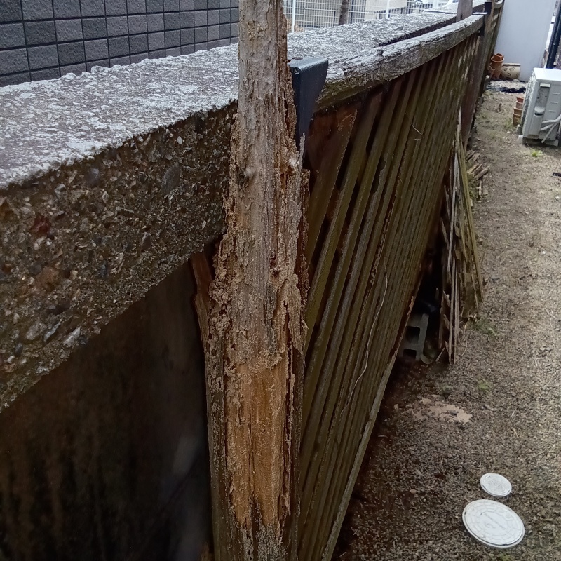 ボロボロになった木材