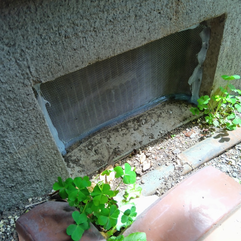 床下換気口をネットとパテで封鎖