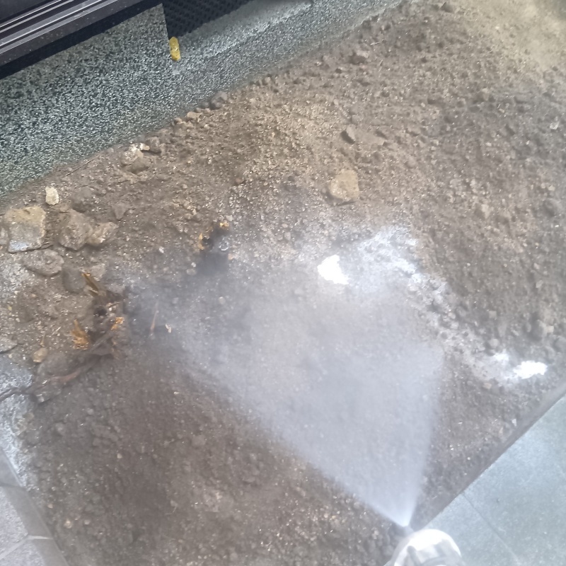 建物の外周にシロアリ駆除剤を散布