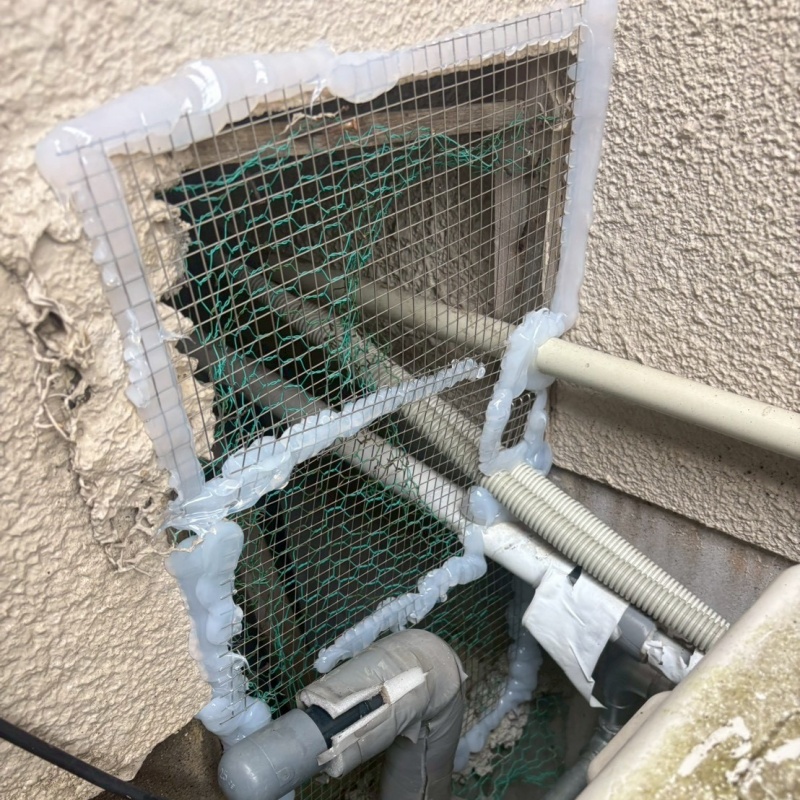 天井裏を清掃