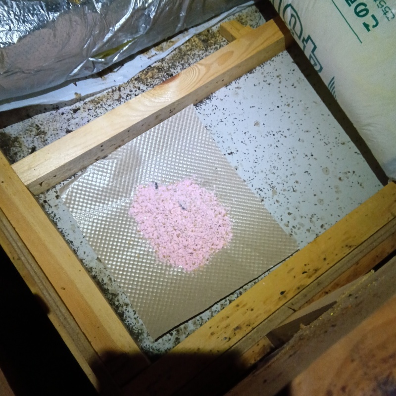 殺鼠剤を仕掛けている様子