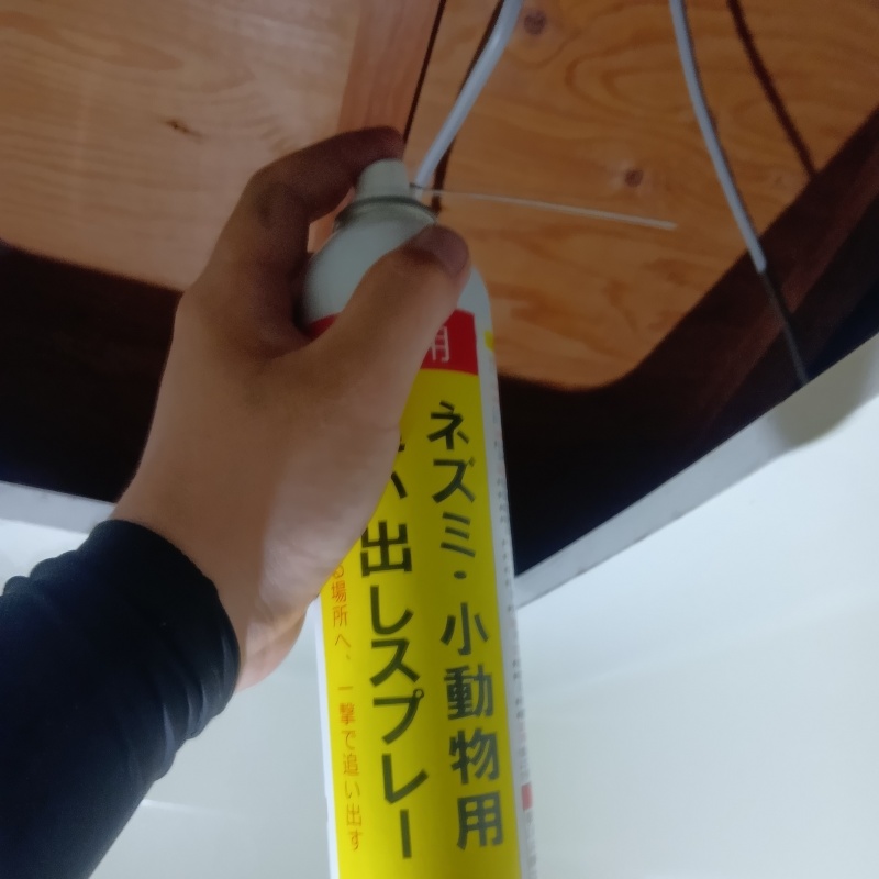 忌避剤を吹き付けている様子