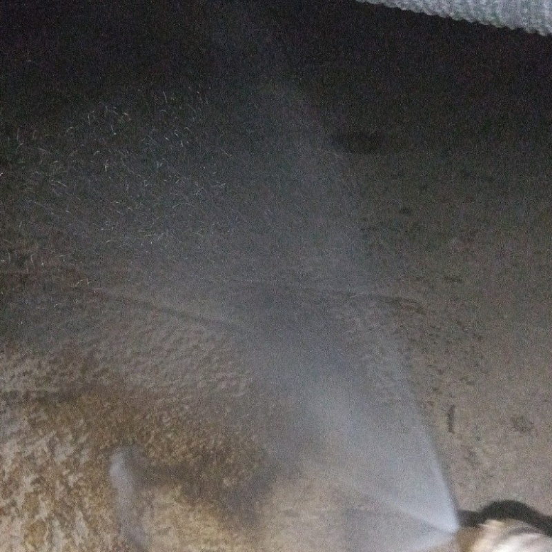床下の地面にシロアリ駆除剤を散布