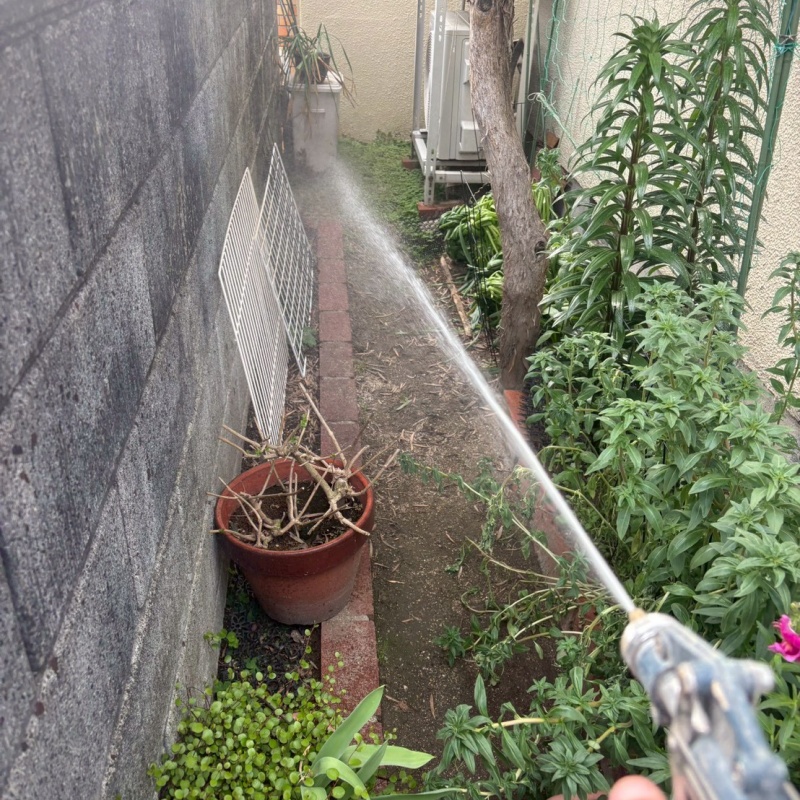 建物の外周にシロアリ駆除剤を散布
