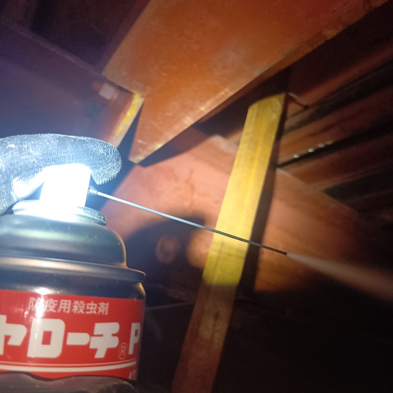 殺虫剤をスプレー