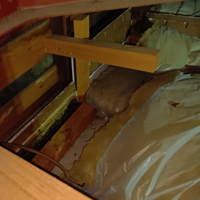 屋根裏にネズミのフンが散らばっている様子
