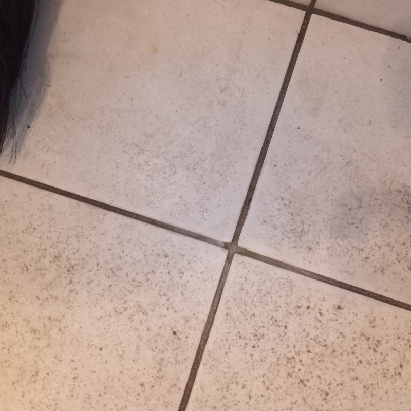 開けた穴を修復した様子