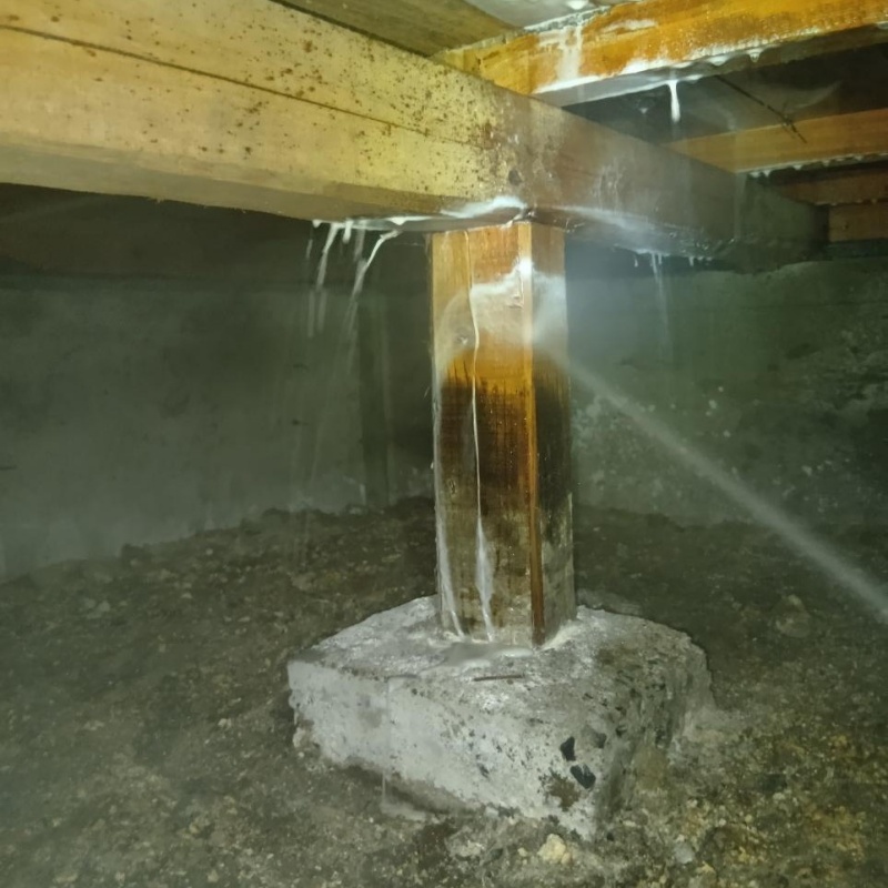 床下の木部・土壌にシロアリ駆除剤を散布