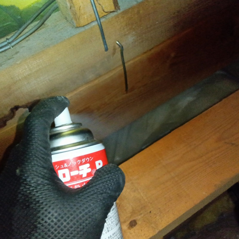 天井裏に殺虫剤を散布