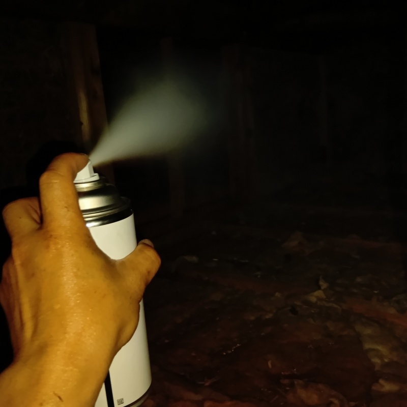 殺虫剤をスプレー