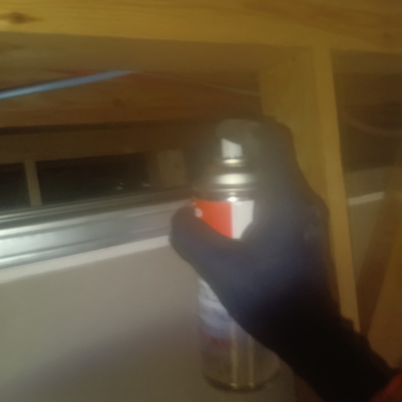 殺虫剤を吹き付けている様子