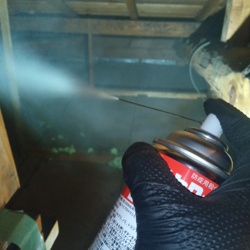 天井裏に殺虫剤を散布