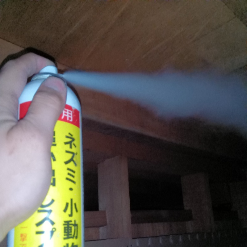 天井裏に忌避剤を散布