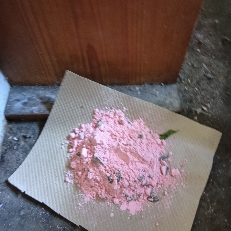 殺鼠剤を仕掛けている様子