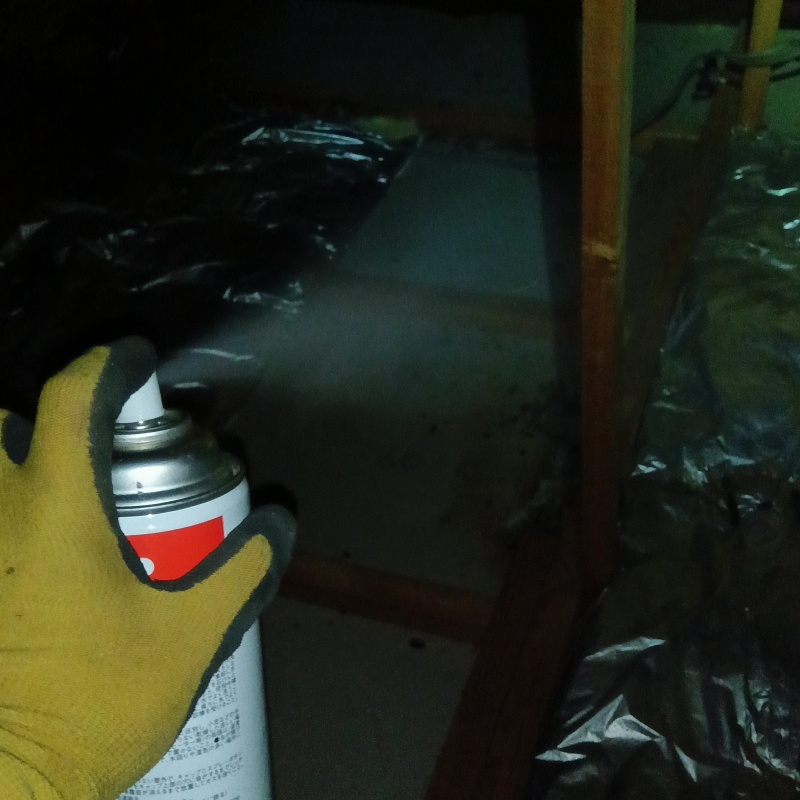 天井裏に殺虫剤を散布
