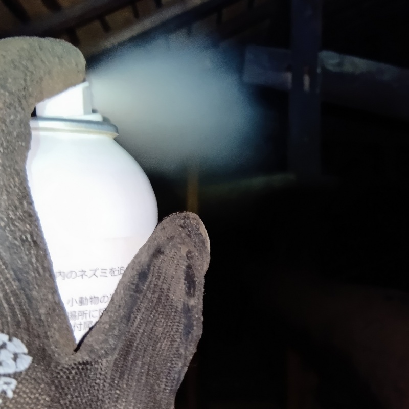 屋根裏に忌避剤をスプレー