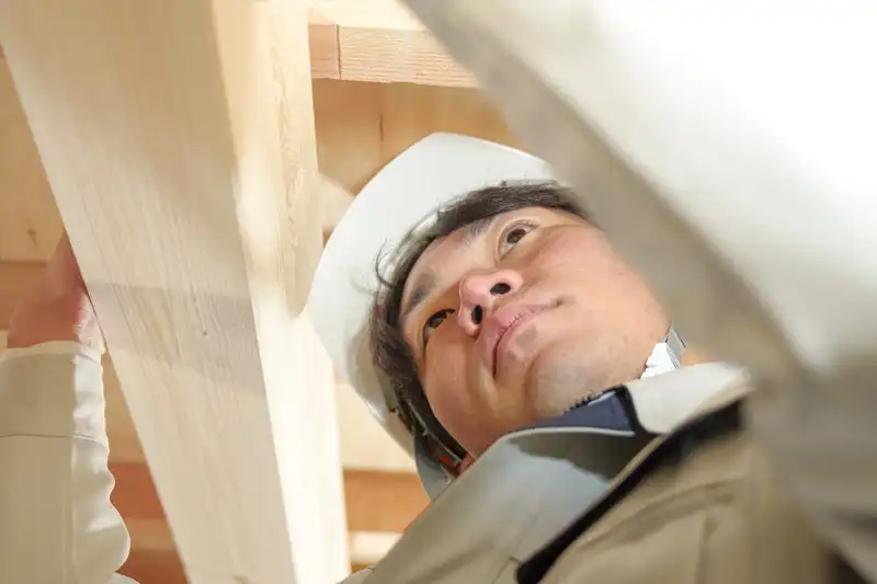 大阪府のおすすめ駆除業者