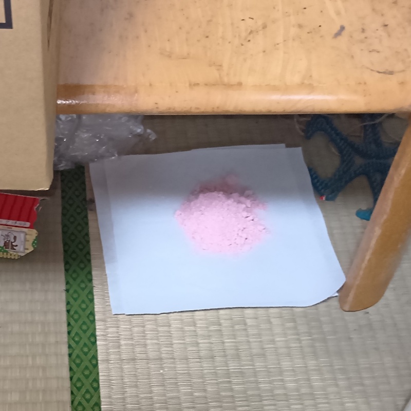 殺鼠剤を仕掛けている様子