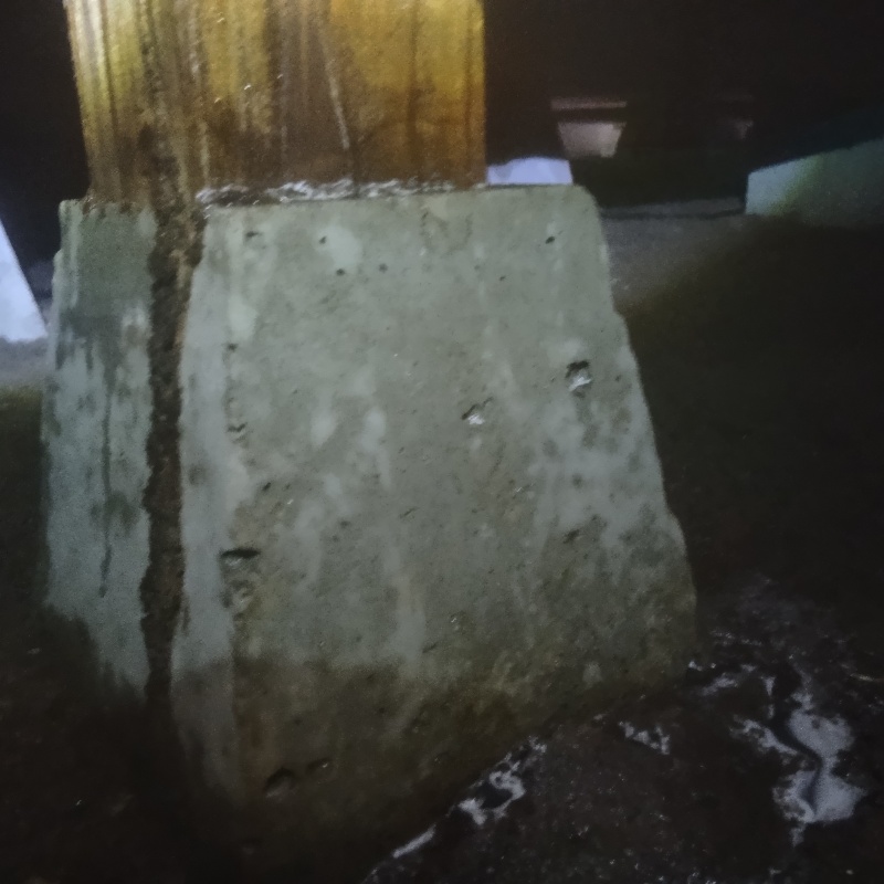 床下に蟻道を発見
