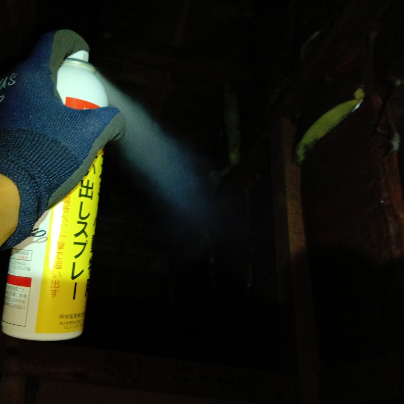 屋根裏に忌避剤をスプレー