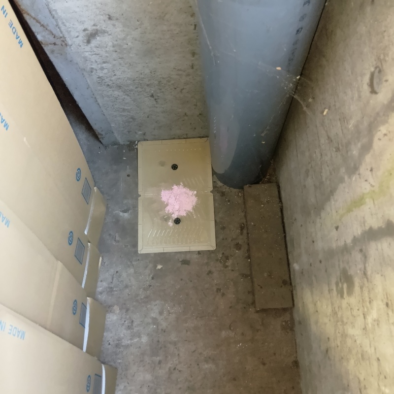 殺鼠剤と粘着シートを仕掛けている様子