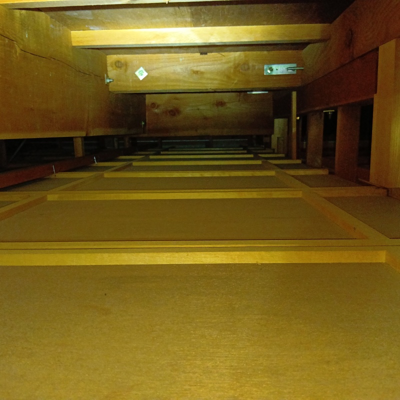 天井裏を清掃