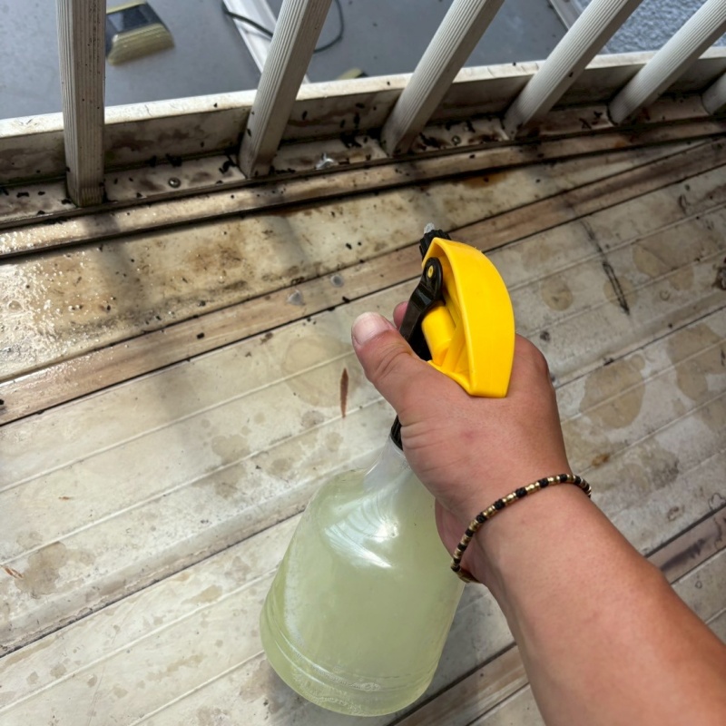 殺虫剤を吹き付けている様子