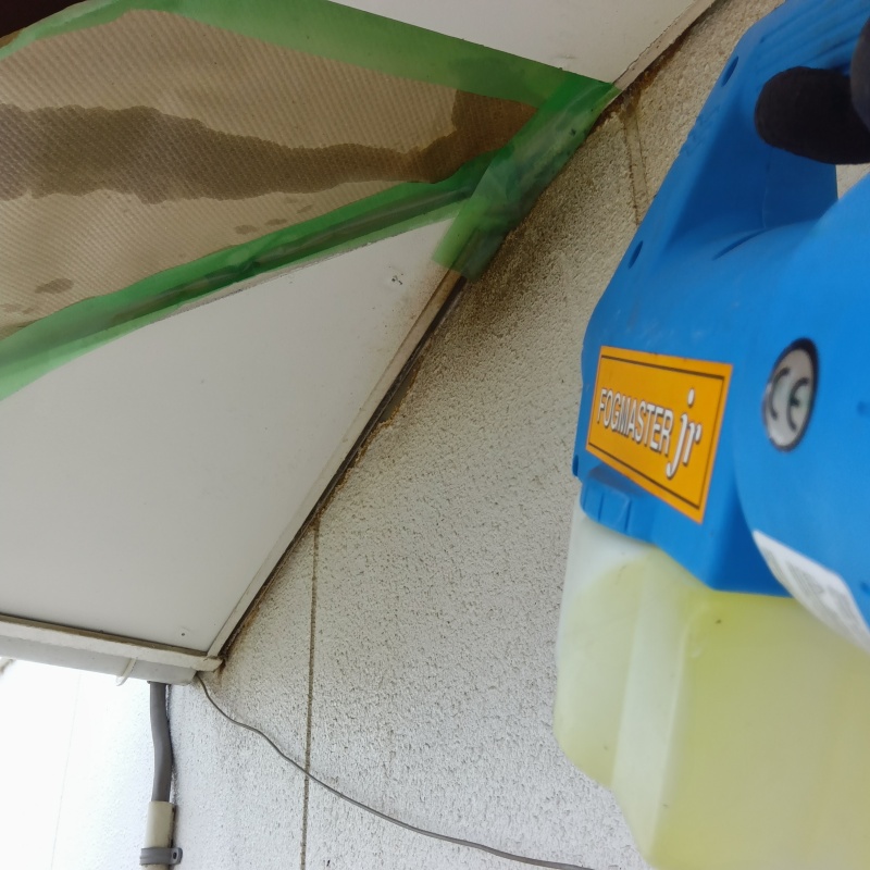 軒天に除菌剤を散布