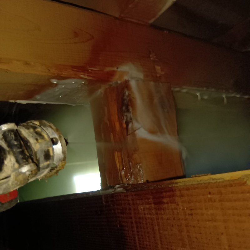 床下の木材にシロアリ駆除剤を散布
