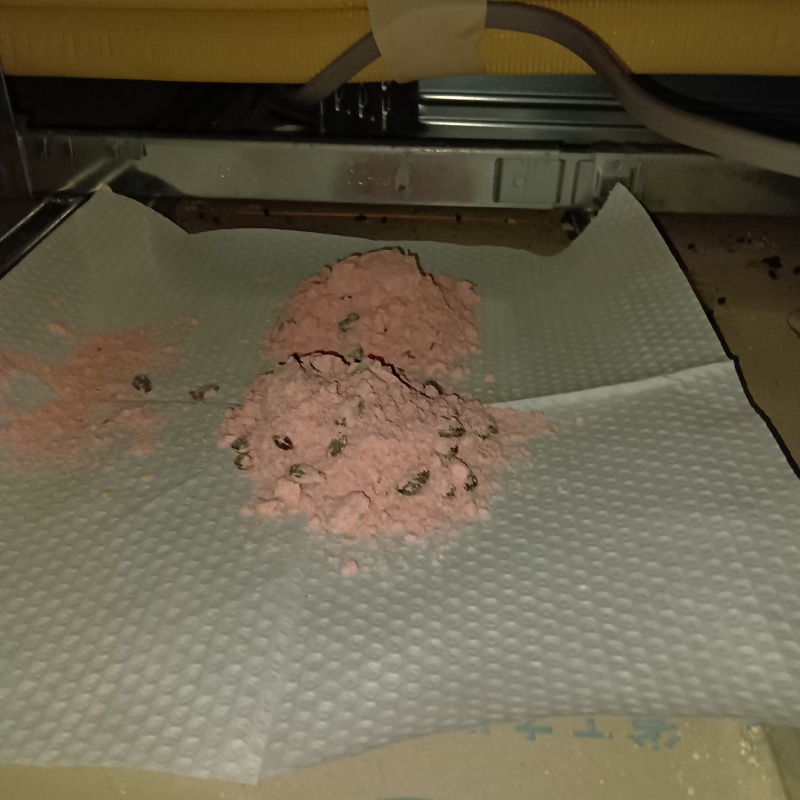 殺鼠剤を仕掛けている様子