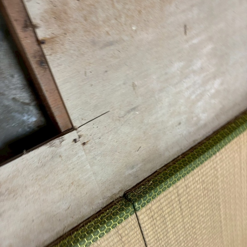 和室の床を切り抜いた様子