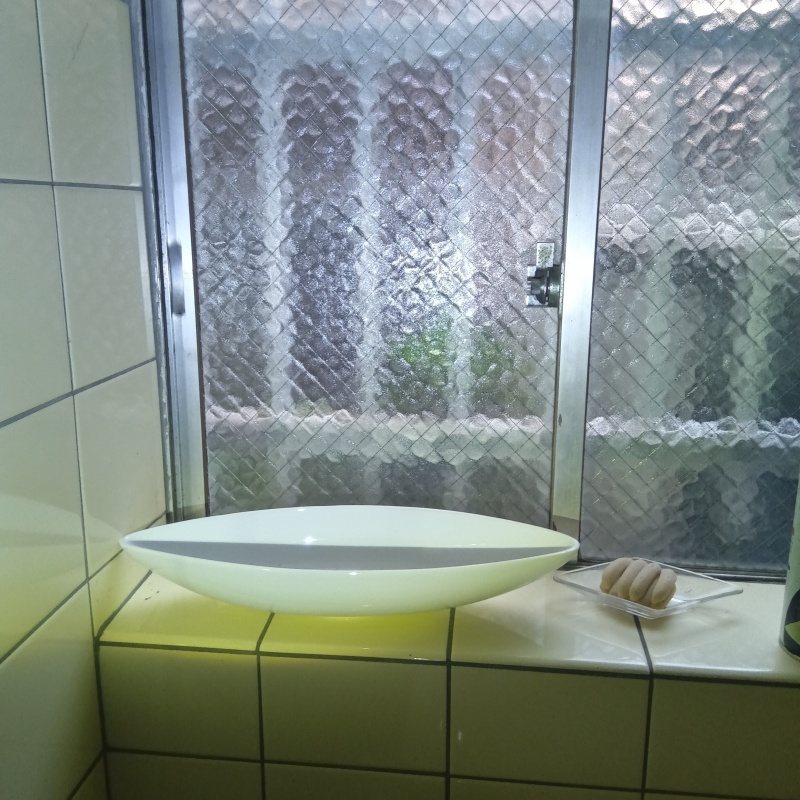 シロアリが発生したトイレ付近の様子