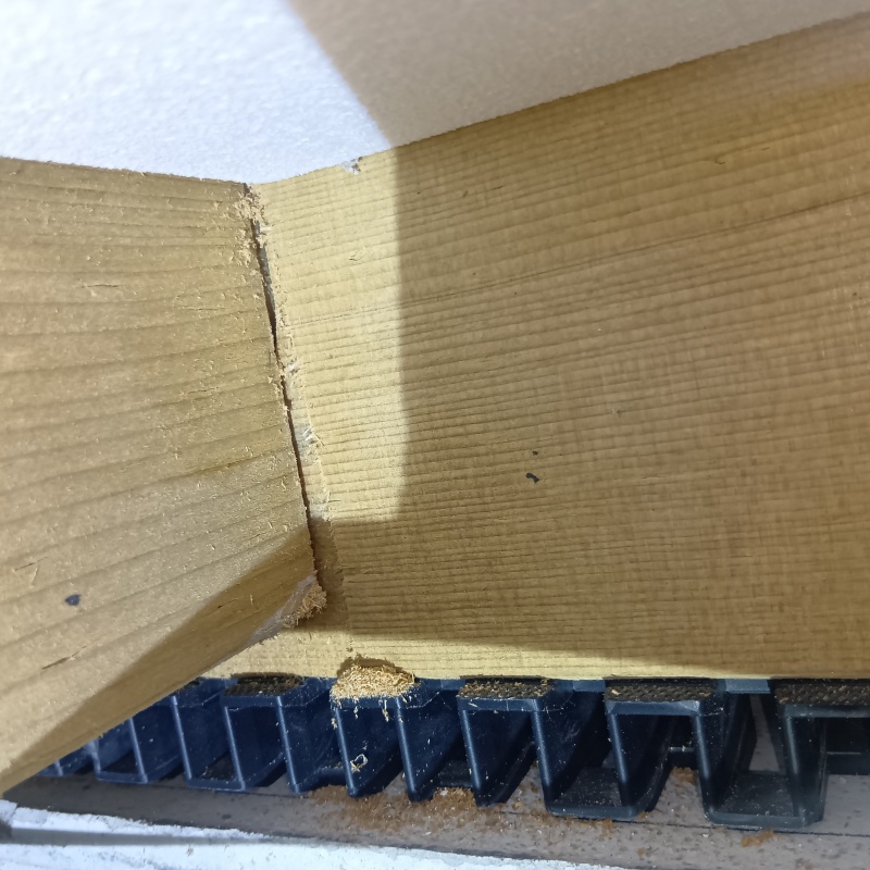 床下の木部に見られたシロアリの痕跡