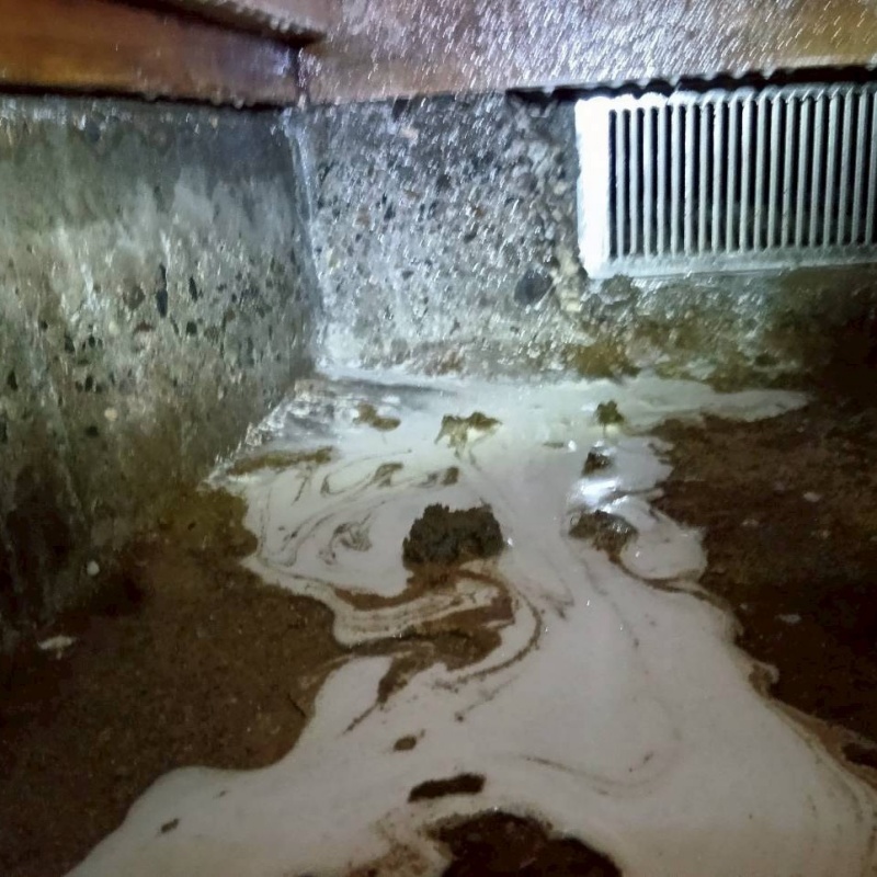 床下の土壌・基礎にシロアリ駆除剤を散布