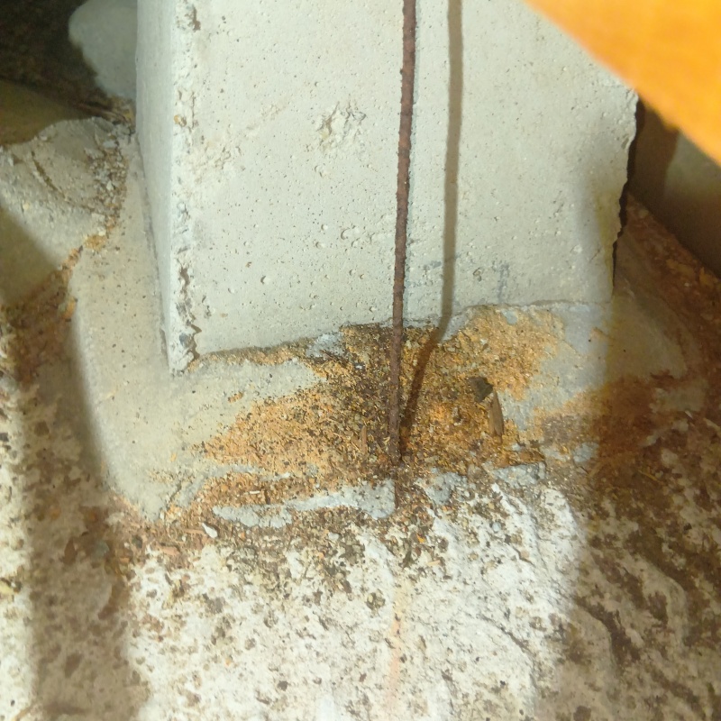 床下の基礎に作られたシロアリの蟻道